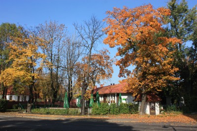 Giszowiec, Ulica Radosna w jesiennej scenerii. Widoczny budynek dawnej pralni.