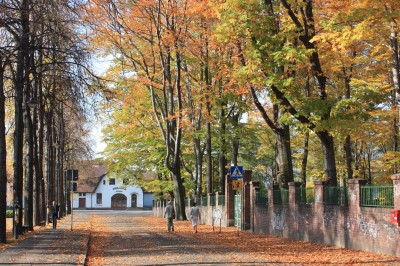 Giszowiec, Plac pod Lipami w jesiennej szacie. W tle domy towarowe.