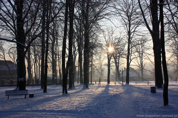 Giszowiec, Zimowy poranek w parku