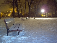 Park nocą