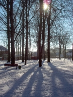 Park zimą